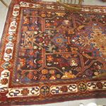 662 7438 ORIENTAL RUG